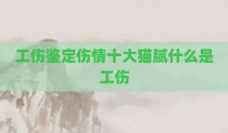 工伤鉴定伤情十大猫腻什么是工伤
