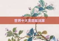 世界十大贪吃蛇玩家