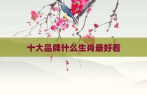 十大品牌什么生肖最好看