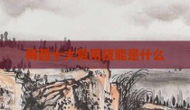 梅西十大常用技能是什么