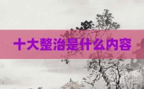 十大整治是什么内容