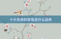 十大名牌的草龟是什么品种