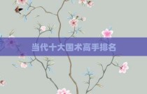当代十大国术高手排名