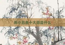 养小丑鱼十大忌是什么
