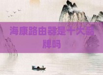 海康路由器是十大品牌吗