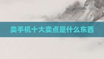 卖手机十大卖点是什么东西