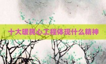十大暖民心工程体现什么精神