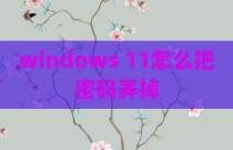 windows 11怎么把密码弄掉
