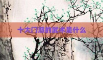 十大门派的武术是什么