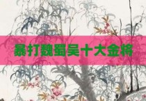 暴打魏蜀吴十大金将