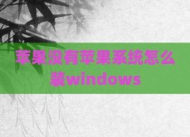 苹果没有苹果系统怎么装windows