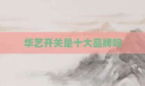 华艺开关是十大品牌吗
