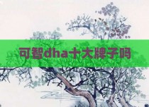 可智dha十大牌子吗