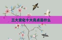 三大变化十大亮点是什么