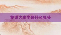 梦见大水牛是什么兆头