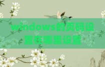 windows的页码设置在哪里设置