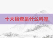 十大检查是什么科室