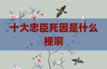 十大忠臣死因是什么梗啊