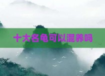 十大名龟可以混养吗