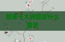 智库十大问题是什么意思
