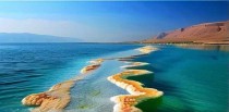 死海里的十大特征是什么