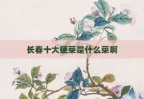 长春十大硬菜是什么菜啊