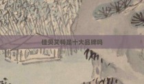 佳贝艾特是十大品牌吗
