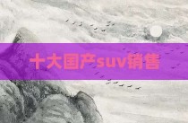 十大国产suv销售