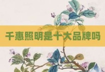 千惠照明是十大品牌吗