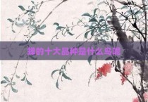 蝉的十大品种是什么鸟呢