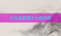什么是我国十大经济体