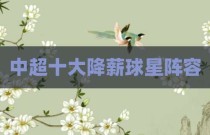 中超十大降薪球星阵容