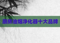厨房油烟净化器十大品牌