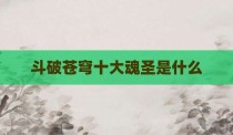 斗破苍穹十大魂圣是什么