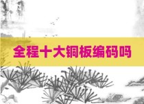 全程十大铜板编码吗