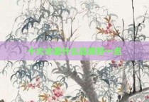 十大水表什么品牌好一点
