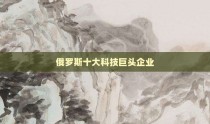 俄罗斯十大科技巨头企业