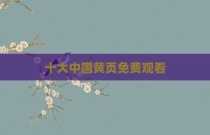 十大中国黄页免费观看
