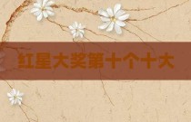 红星大奖第十个十大