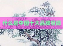 什么是中国十大品牌空调