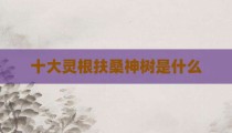 十大灵根扶桑神树是什么