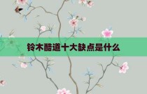 铃木酷道十大缺点是什么