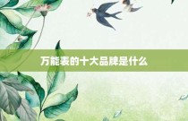 万能表的十大品牌是什么