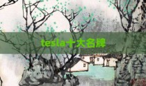 tesla十大名牌