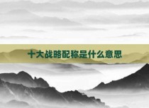 十大战略配称是什么意思
