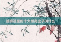蟑螂进屋的十大预兆虫子叫什么