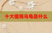 十大值钱乌龟是什么