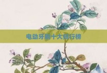 电动牙刷十大排行榜