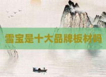 雪宝是十大品牌板材吗