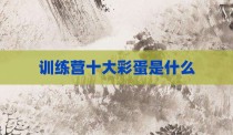 训练营十大彩蛋是什么